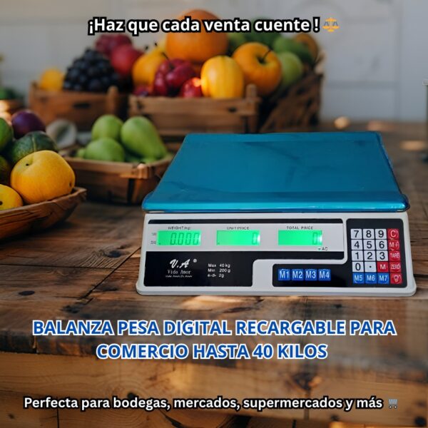 BALANZA METALICA DE 40KG - Imagen 2