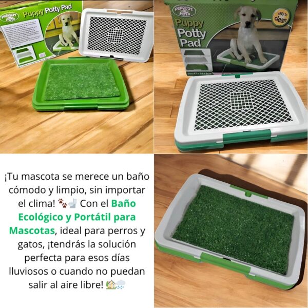 BAÑO ECOLOGICO PARA PERROS Y MASCOTAS - Imagen 2