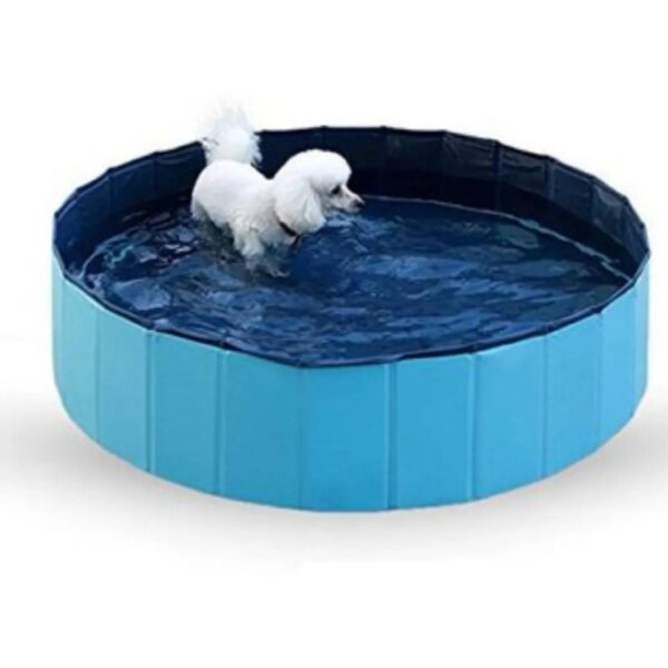 PISCINAS PARA MASCOTAS - Imagen 4