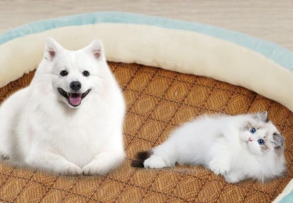 CAMA PARA GATO