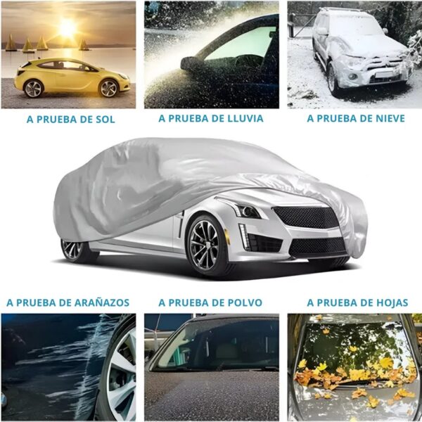 CARPA DE AUTO TALLA L