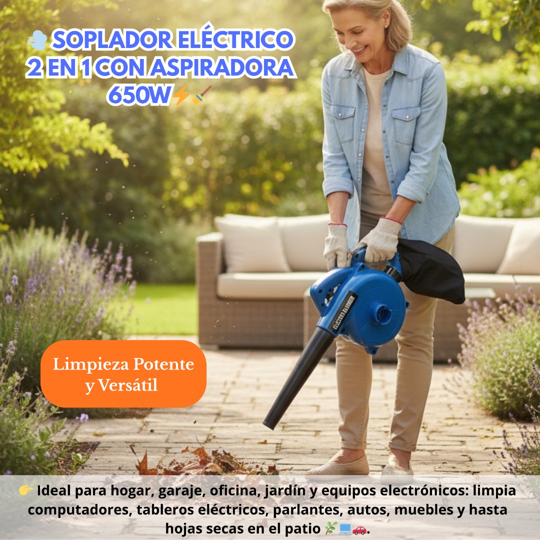 SOPLADOR ELECTRICO BLOWER 650W